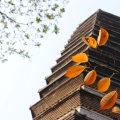 建為歷保中標(biāo)奎光塔物聯(lián)網(wǎng)監(jiān)測系統(tǒng)及園區(qū)無線網(wǎng)絡(luò)數(shù)字導(dǎo)覽系統(tǒng)建設(shè)采購項目